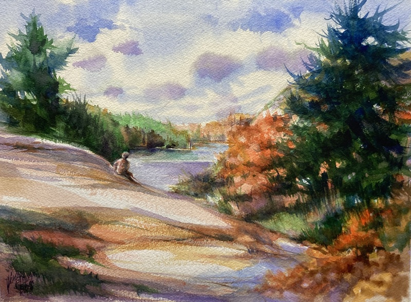 Viewing Little Mountain by Vivian Ripley